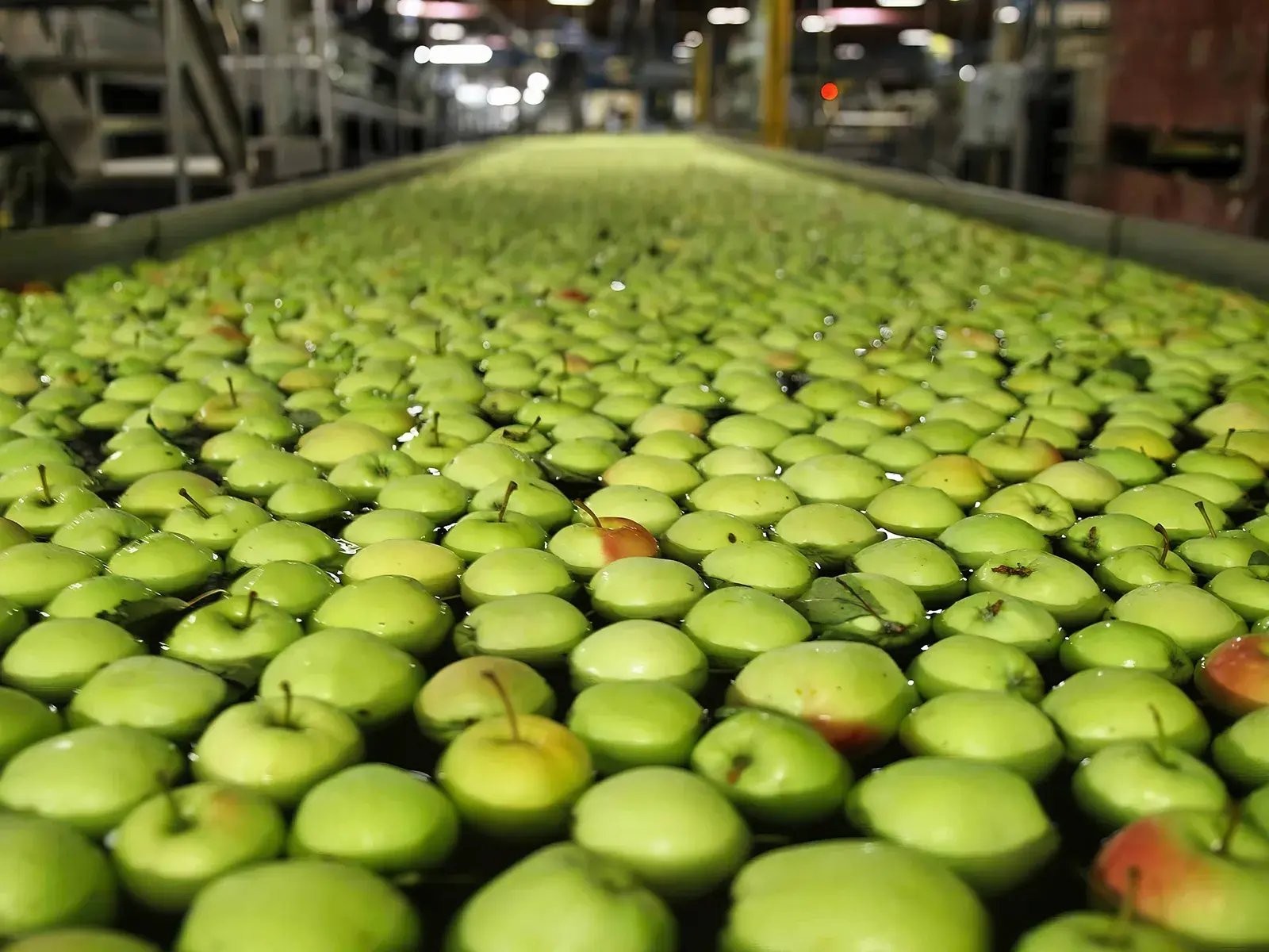 AppleFactory_WashProduceLine_1600x1200