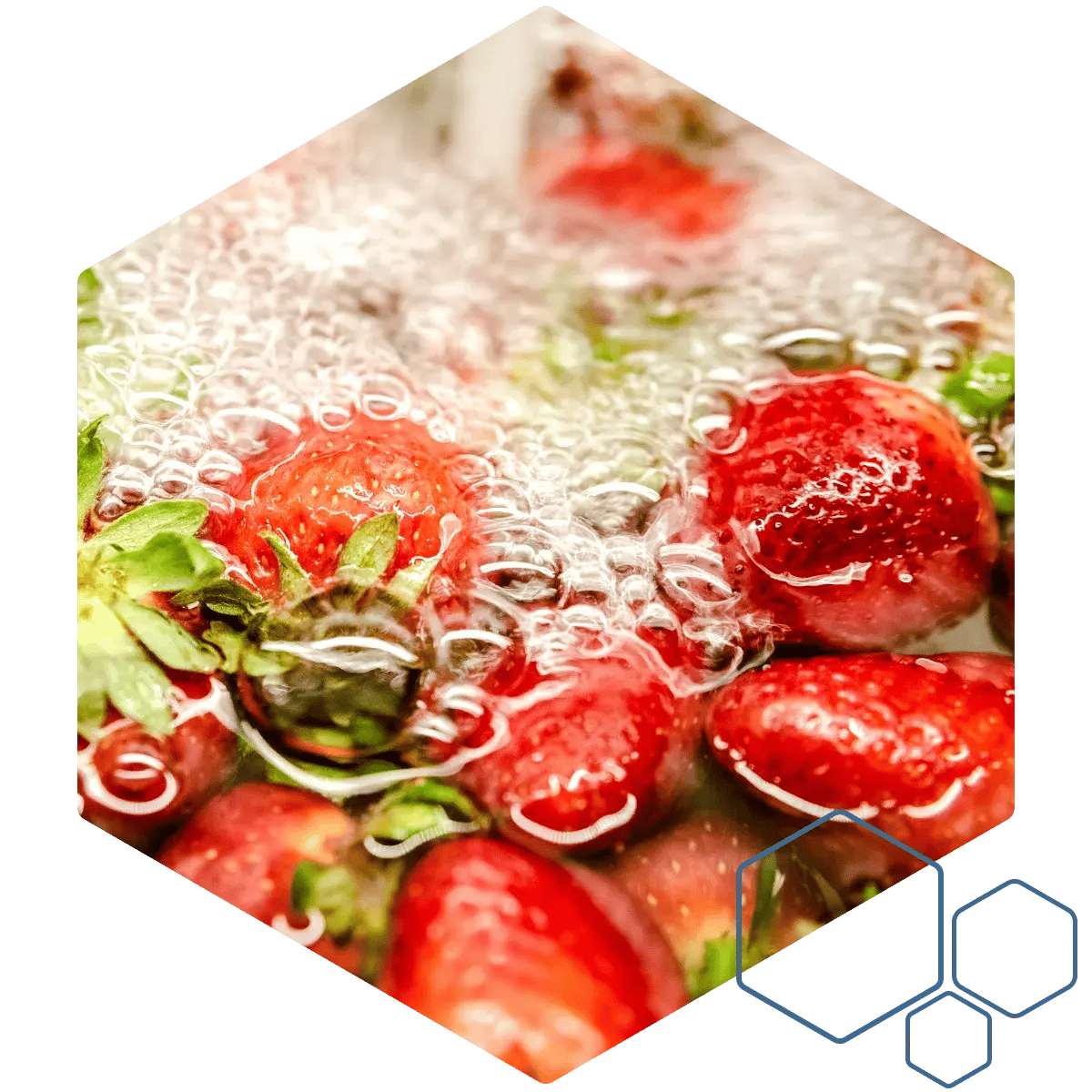 Honecomb_Strawberries_WashedinWater