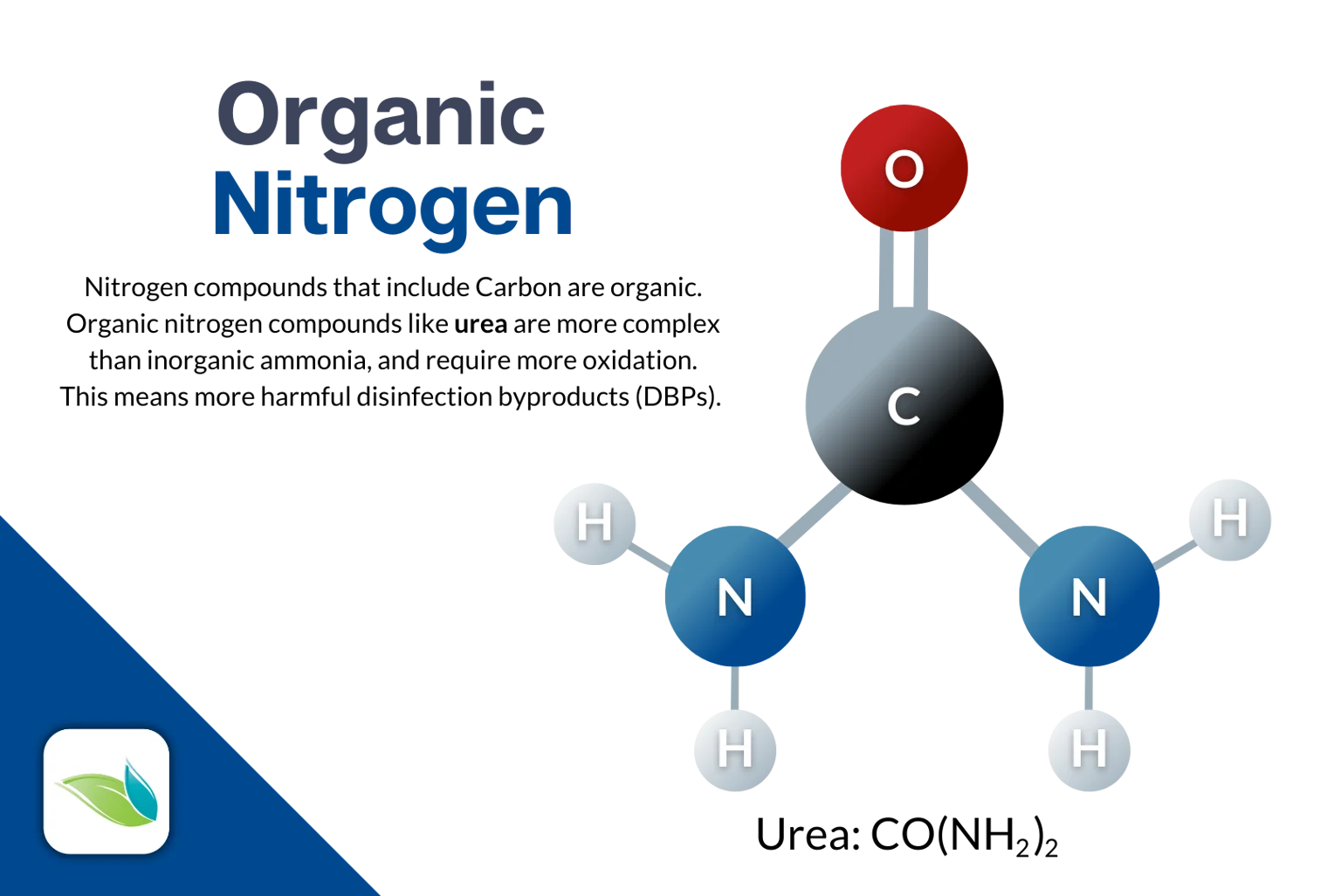 Chemical diagram for Organic Nitrogen