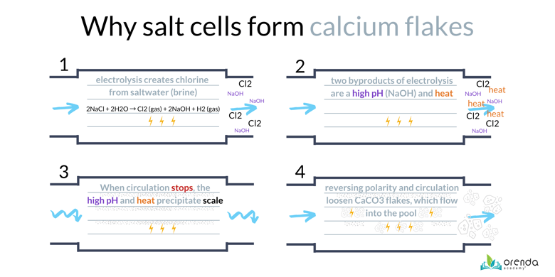 why salt cells form calcium flakes-1