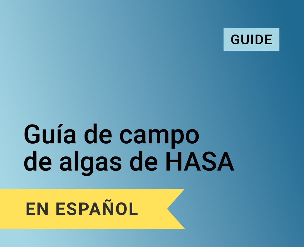 AlgaeFieldGuide_Thumbnail-1