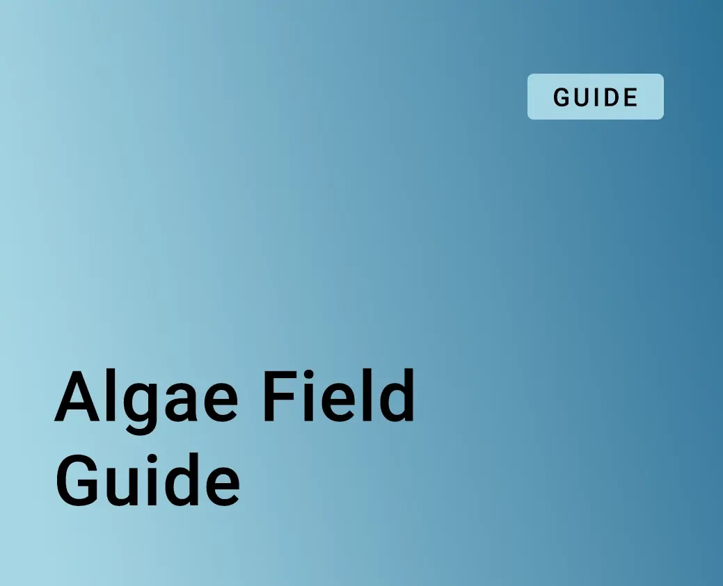 AlgaeFieldGuide_Thumbnail