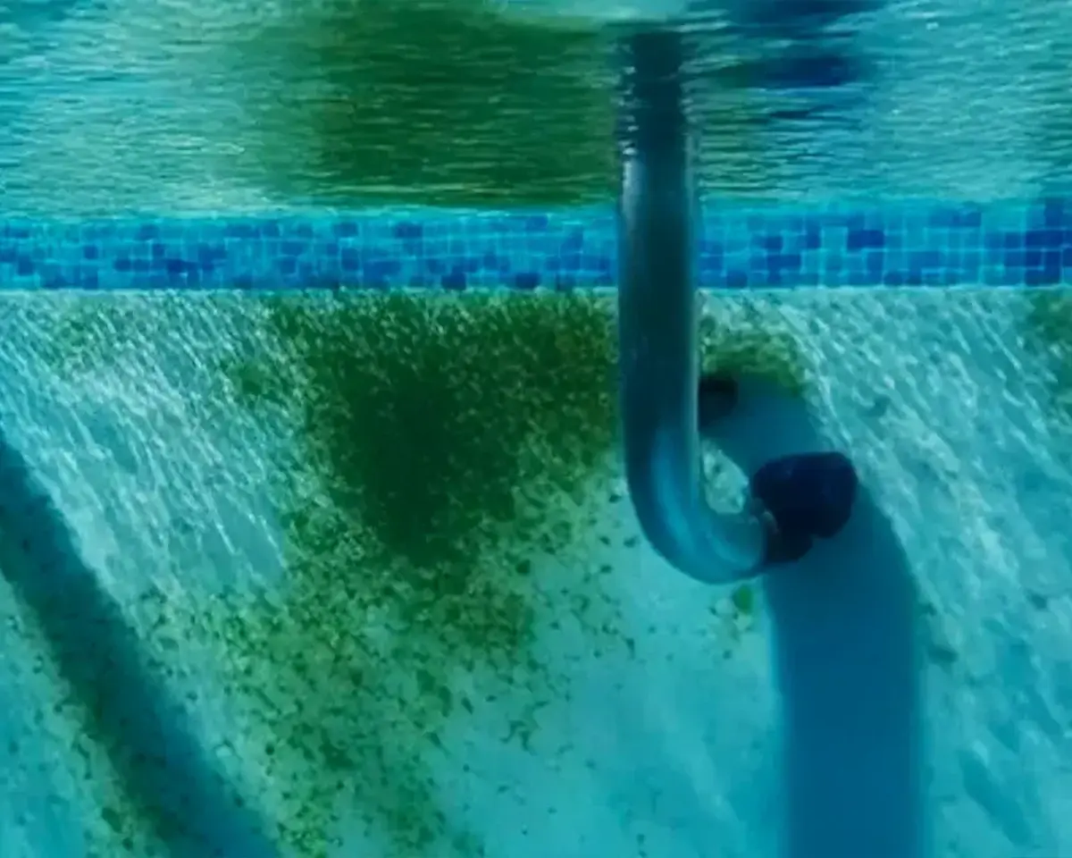 Why Is My Pool Green? How to Clean and Prevent Algae Naturally