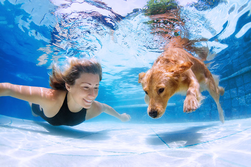 woman and dog swimming